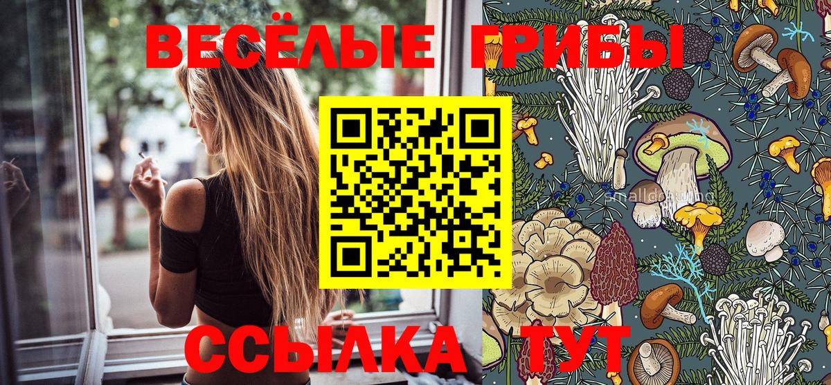 Псилоцибиновые грибы мухоморы  Псилоцибиновые грибы MAGIC MUSHROOMS  Вход с VPN  Гудермес 