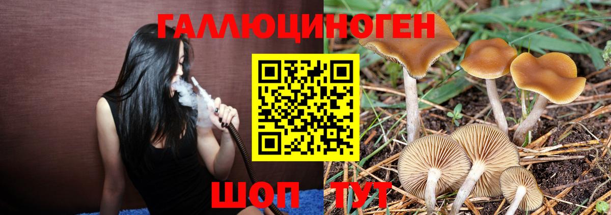 Галлюциногенные грибы Magic Shrooms Гудермес